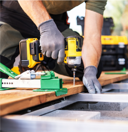 Fresh dates on palm tree